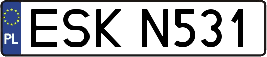 ESKN531