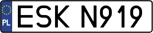 ESKN919