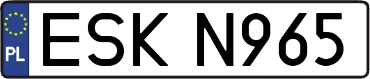 ESKN965