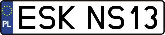 ESKNS13