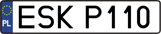 ESKP110