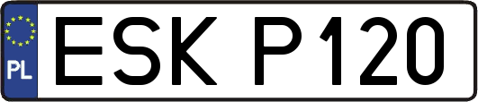 ESKP120