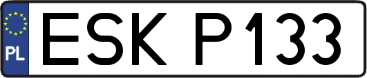 ESKP133