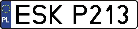ESKP213