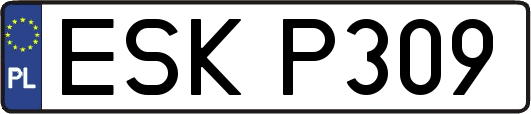 ESKP309