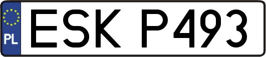 ESKP493