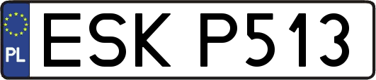 ESKP513