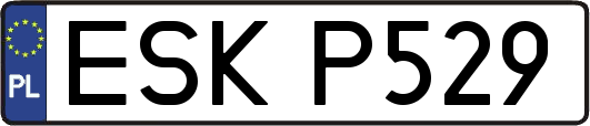 ESKP529