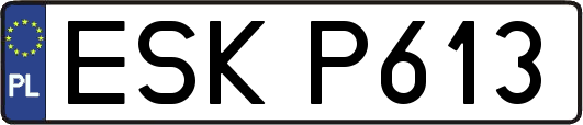 ESKP613