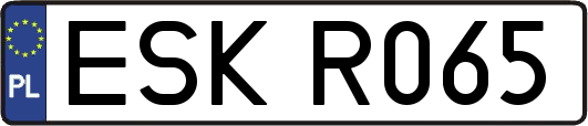 ESKR065