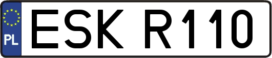 ESKR110