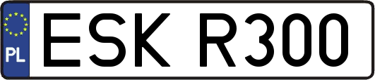 ESKR300