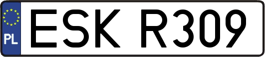 ESKR309