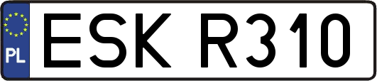 ESKR310