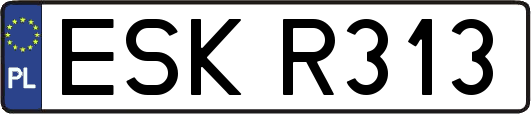 ESKR313