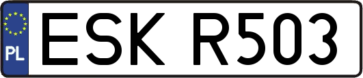 ESKR503