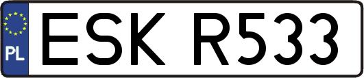 ESKR533