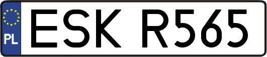 ESKR565
