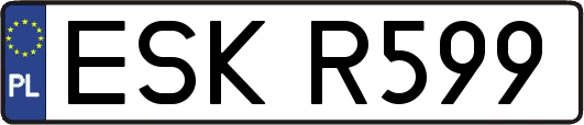 ESKR599
