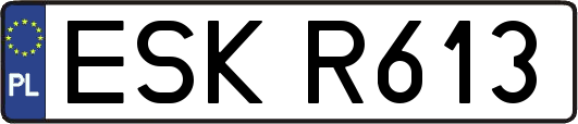 ESKR613