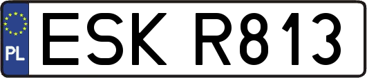 ESKR813