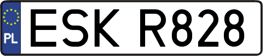 ESKR828