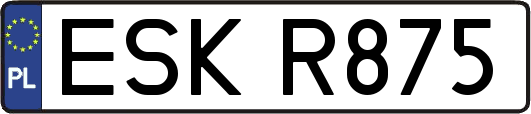 ESKR875