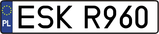 ESKR960