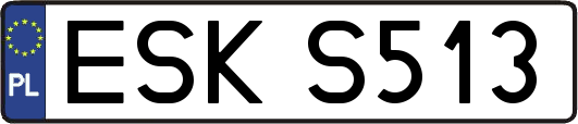 ESKS513