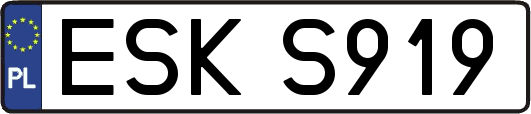 ESKS919
