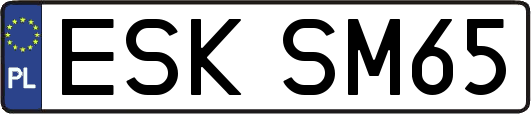 ESKSM65