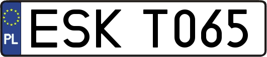 ESKT065