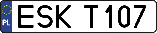 ESKT107