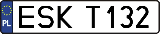 ESKT132