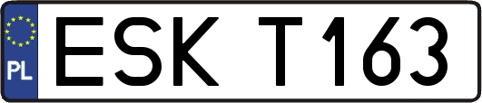 ESKT163