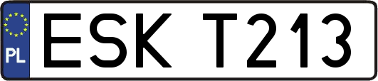 ESKT213