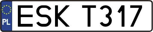 ESKT317