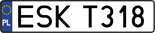 ESKT318