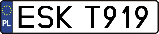 ESKT919
