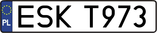 ESKT973