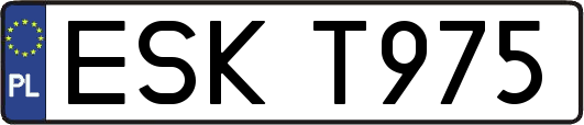 ESKT975
