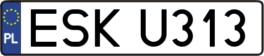 ESKU313