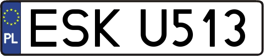 ESKU513