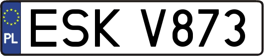 ESKV873