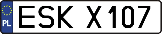 ESKX107