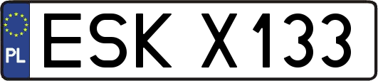 ESKX133