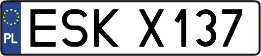 ESKX137