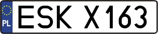 ESKX163