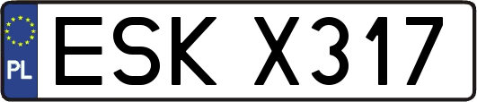 ESKX317