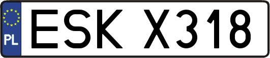 ESKX318